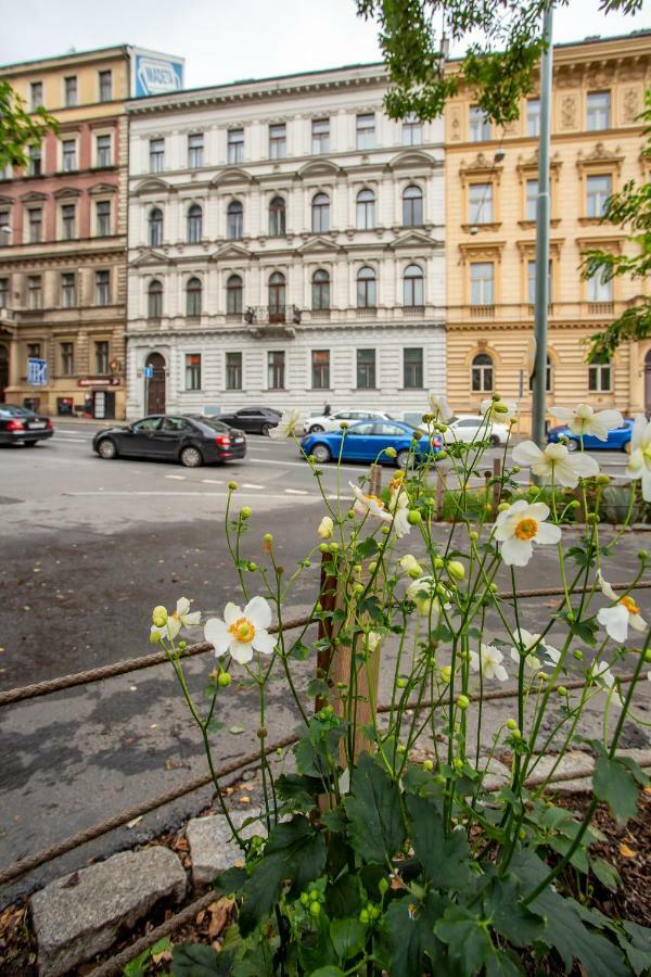 Apartament Open Gate Praga Zewnętrze zdjęcie